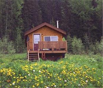 Bear Corner Adventures Bed & Bale Hotell Golden Exteriör bild